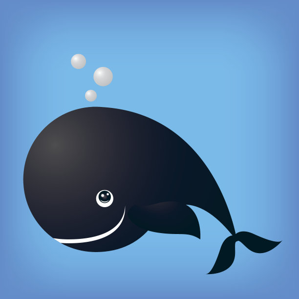 鲸类海洋鱼类隔离图片下载