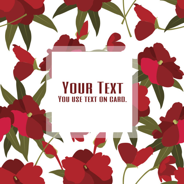 美丽的花朵图片下载