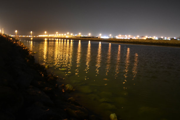 夜之光图片下载