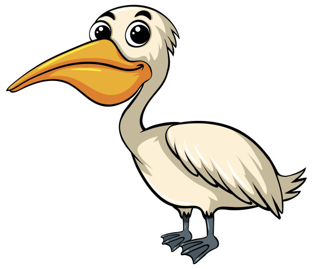 长着笑脸的鹈鹕鸟图片下载