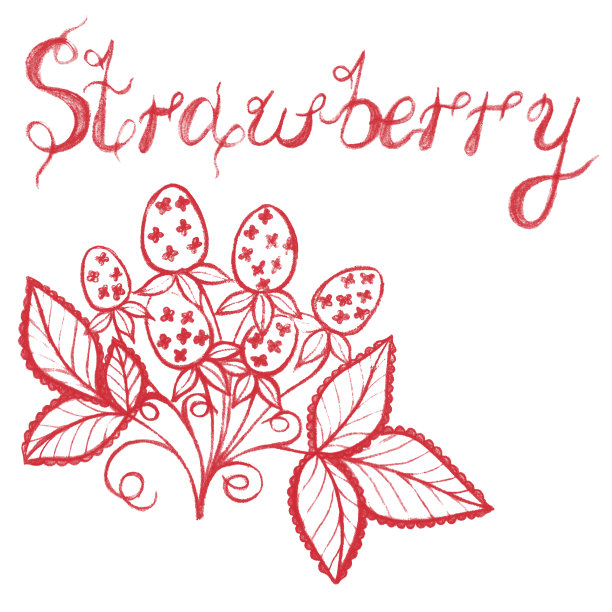 红草莓铅笔画明信片。手绘墨水插图。图片下载