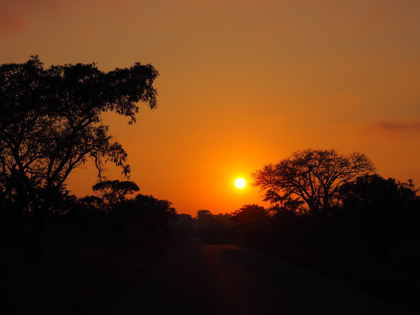 非洲的日落图片下载