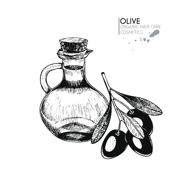 矢量护发成分集。有机手绘元素。农场的蔬菜市场。橄榄枝。图片下载