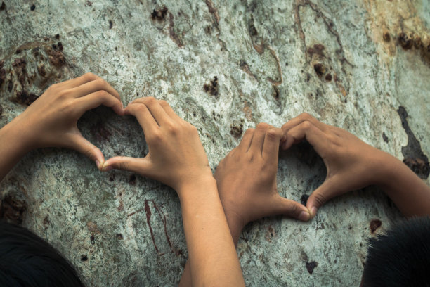 孩子们拥抱树木，象征着对森林的热爱。图片下载