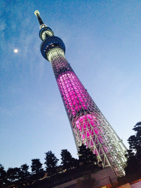 天空树变成了紫色图片下载