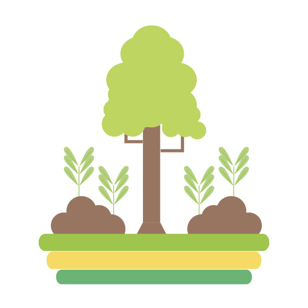 良好的树木和植物与地面生态图片下载