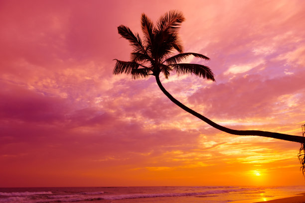 海滩上浪漫的日落图片下载