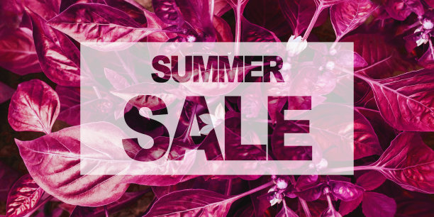 夏季促销海报模板与树叶图案图片下载