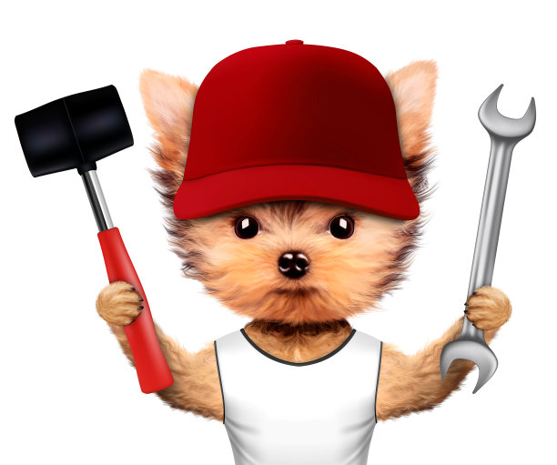 有趣的狗与扳手和锤子孤立在白色图片下载