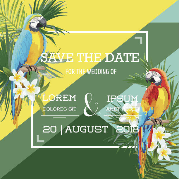 海滩时尚图片素材ID：307654692