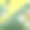 海滩时尚图片素材ID：307654692