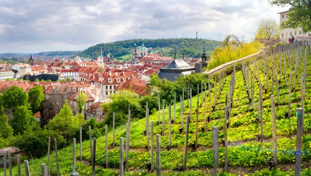 欧洲捷克美丽的布拉格果园素材图片