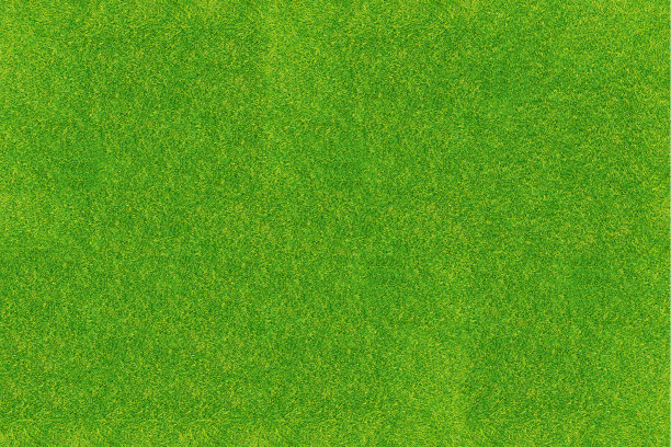 绿草的纹理图片下载