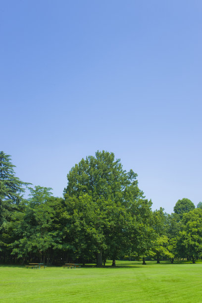 阳光明媚的公园图片下载