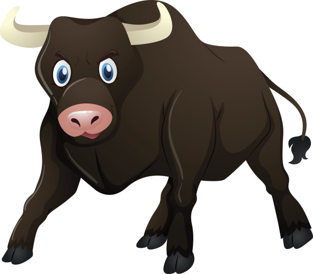 公牛站在白色的背景上图片下载