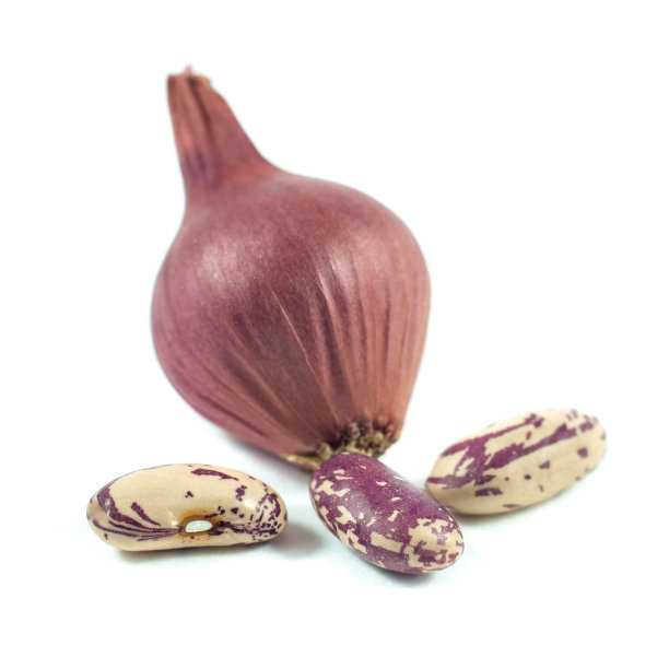 彩色的豆子和洋葱孤立在白色的背景图片下载