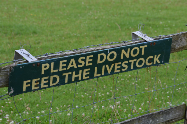 请不要给家畜喂食。图片下载