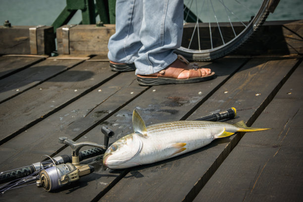 老有经验的渔夫图片下载
