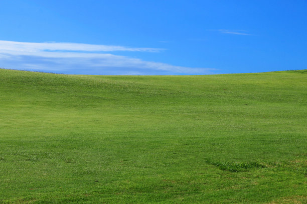 景观-绿色的草和蓝天和小云朵图片下载