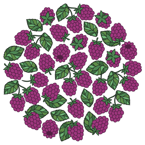 天然水果和浆果圆形象征着新鲜的覆盆子。图片下载