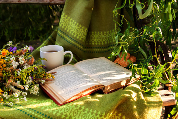 在一个夏天的晚上看书图片下载