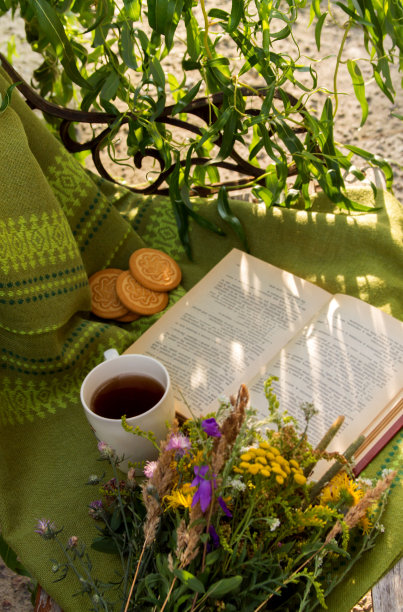 在一个夏天的晚上看书图片下载