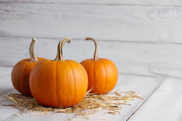 万圣节南瓜图片素材ID：307700604