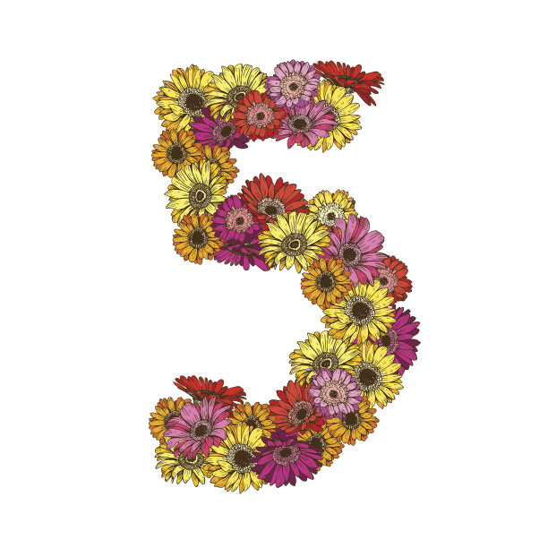 五位数的彩色雏菊花。花元素由花朵组成的彩色字母。矢量图图片下载