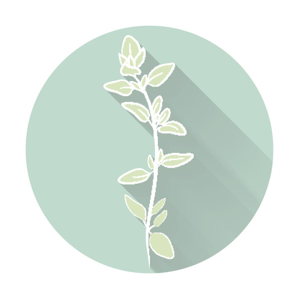 矢量新鲜百里香草药。香叶用来调味肉类，家禽，炖菜，汤。平面图标与长阴影效果在时尚的颜色的网页设计对象，商业，办公室和营销项目。图片下载