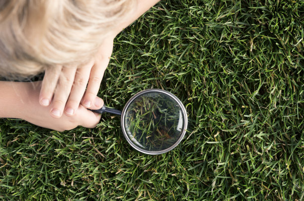 孩子探索自然图片下载