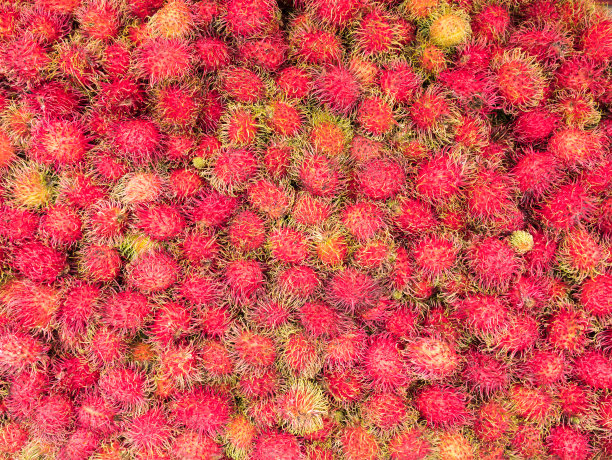 红毛丹果背景。图片下载