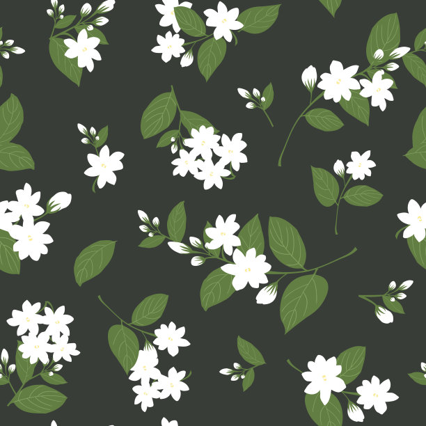 茉莉花图片素材ID：307737726