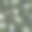 茉莉花图片素材ID：307737726