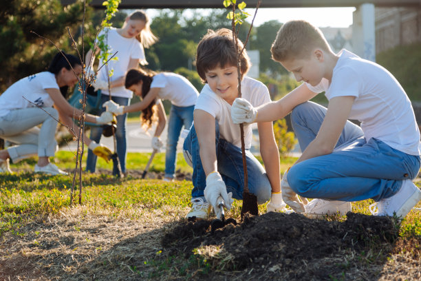 小学生在种植年轻的果树图片下载