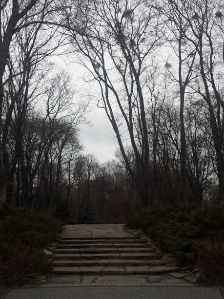 进入公园的楼梯:三月图片下载