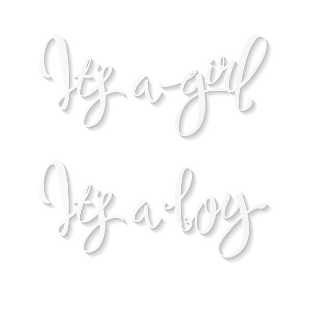 向量的卡片图片下载