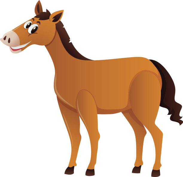 棕色的马独自站立图片下载