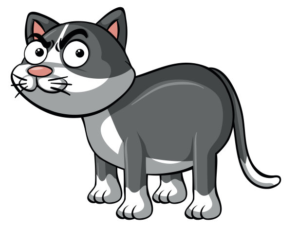 白色背景上的愤怒的猫图片下载