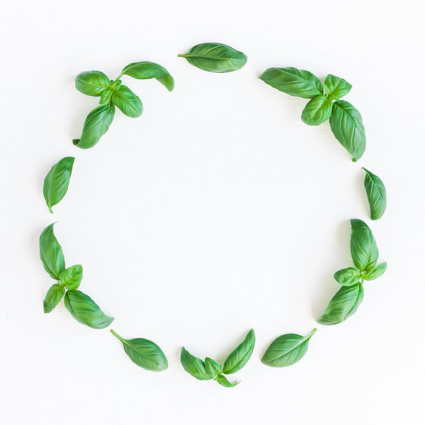 草本图片素材ID：307749906