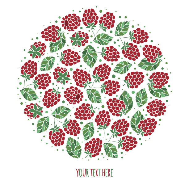 天然水果和浆果圆形象征着新鲜的黑莓图片下载