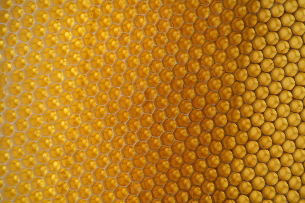 蜂窝背景图片下载