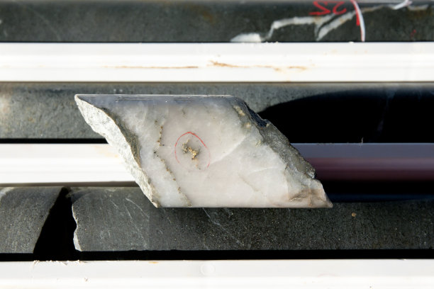 石英脉中的可见金图片下载