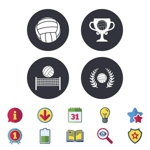 排球和网图标。冠军奖盃。图片下载