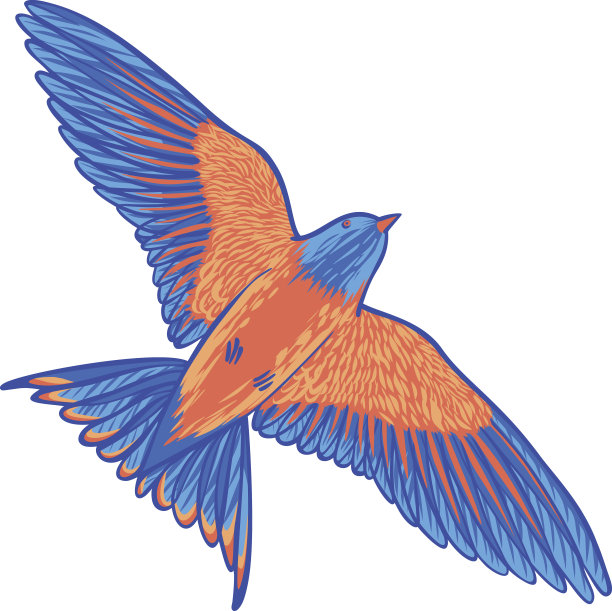 白色背景上的蓝色热带鸟。鸟的天堂。手绘笔触元素图片下载