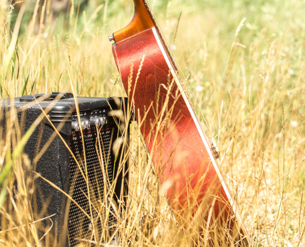 吉他在自然界中图片下载