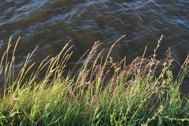 景观与河流反射图片下载