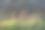 景观与河流反射图片下载