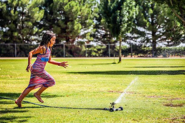 夏天的乐趣图片下载