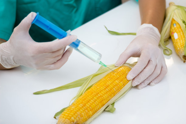 食物的遗传研究图片下载