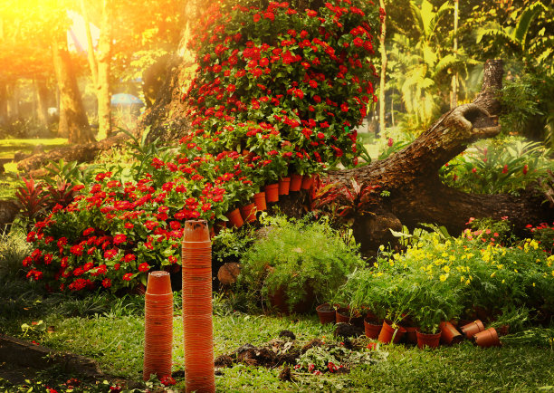 美丽的亚洲正规园林景观图片下载